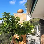 Villa Villa Claire Corfu - 10-Acre Private Pool Villa With Guesthouse