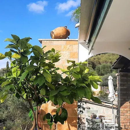 Villa Villa Claire Corfu - 10-Acre Private Pool Villa With Guesthouse