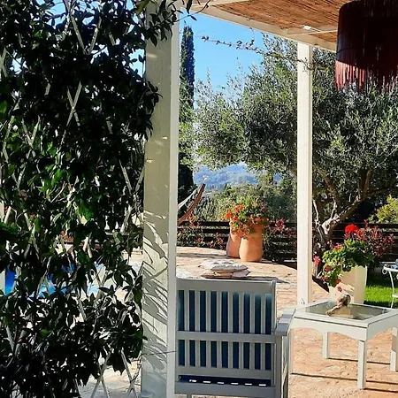Villa Claire Corfu - 10-Acre Private Pool Villa With Guesthouse Villa *