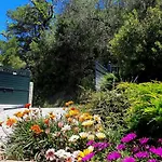 Villa Villa Claire Corfu - 10-Acre Private Pool Villa With Guesthouse *